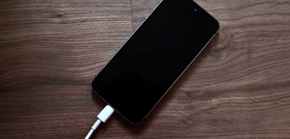 celular bivolt